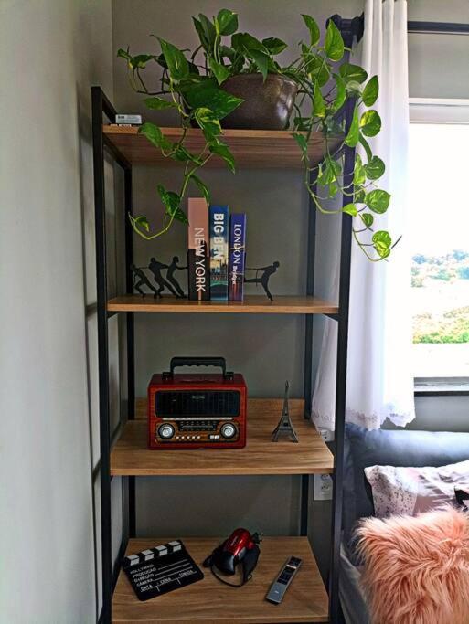 Tiny House Paraiso Minicasas Com Hidromassagem 波苏阿莱格里 外观 照片